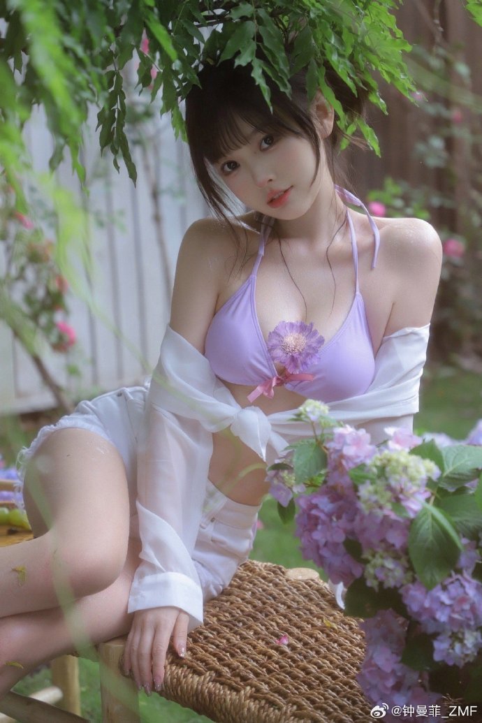 大明王朝1566 封面